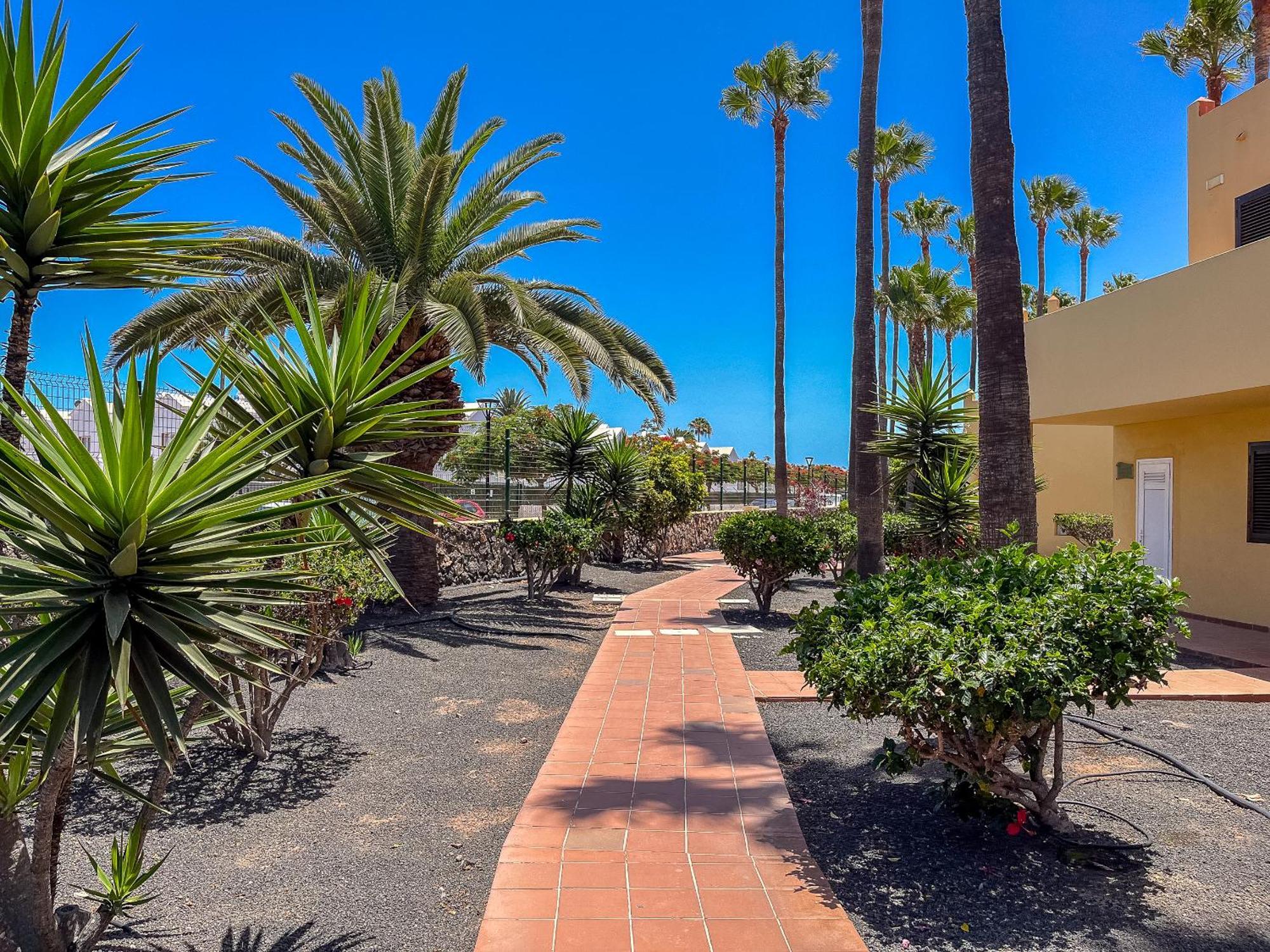 Apartamentos Oasis Royal Corralejo F314 Luaran gambar