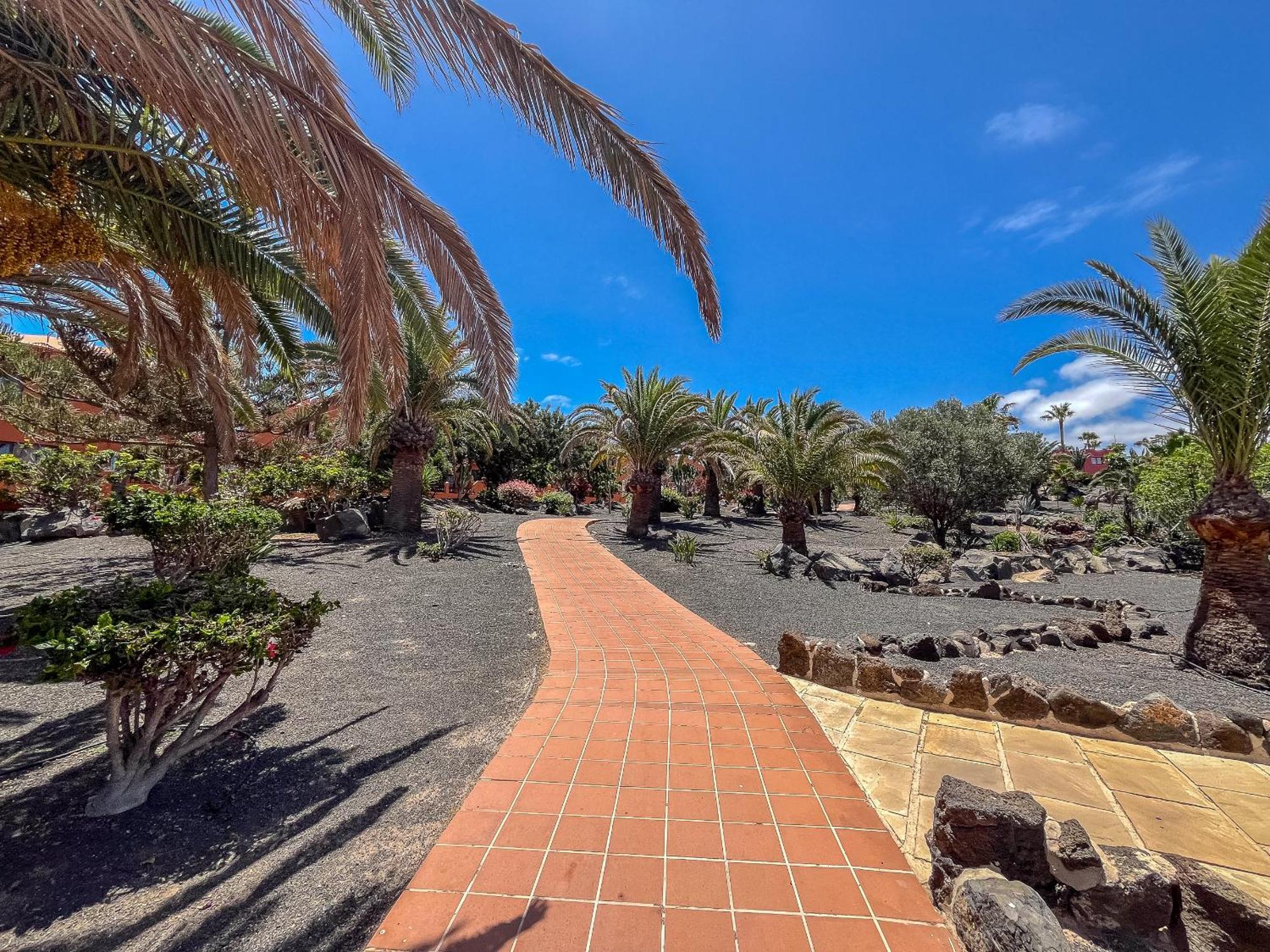 Apartamentos Oasis Royal Corralejo F314 Luaran gambar
