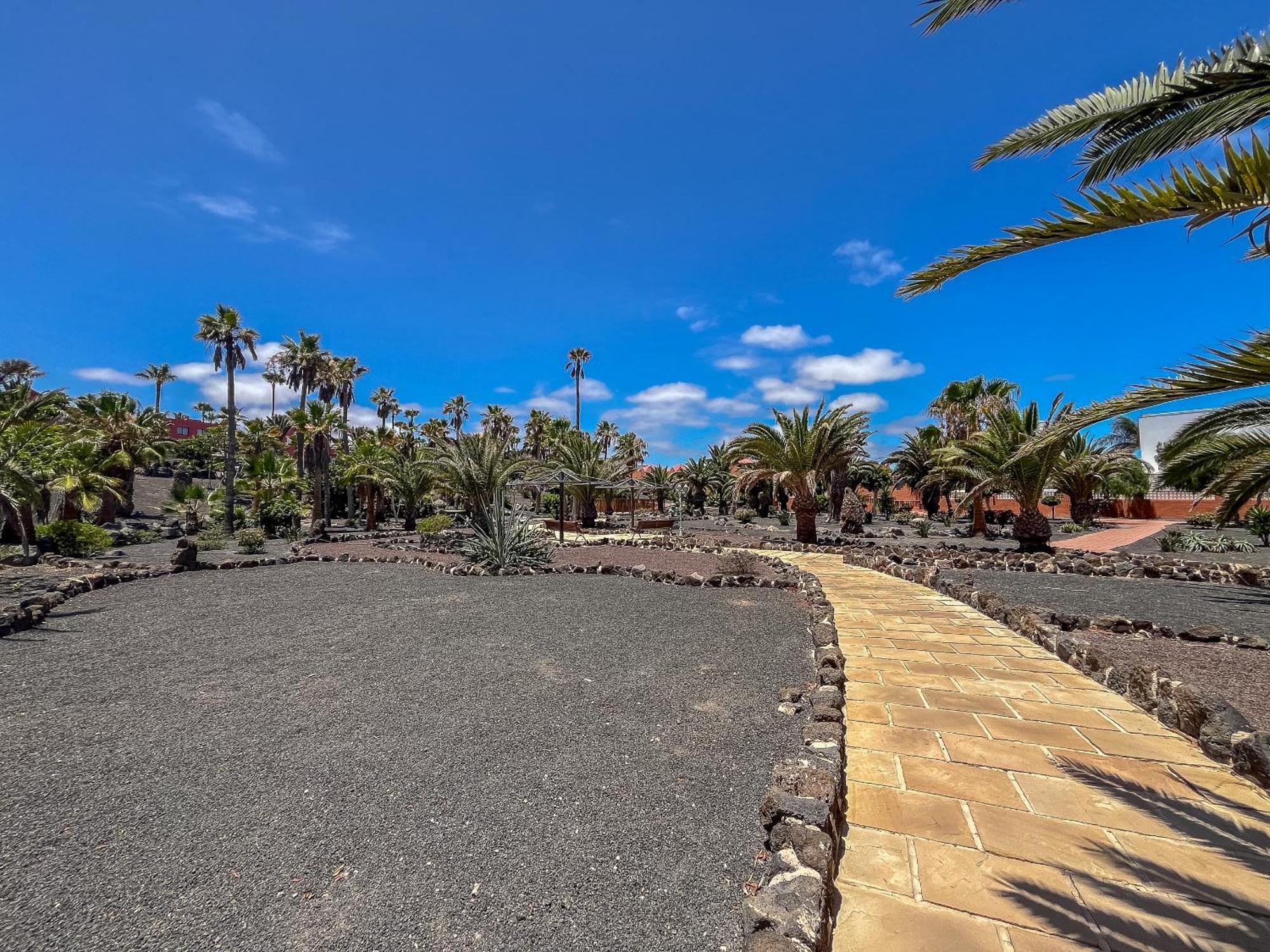 Apartamentos Oasis Royal Corralejo F314 Luaran gambar
