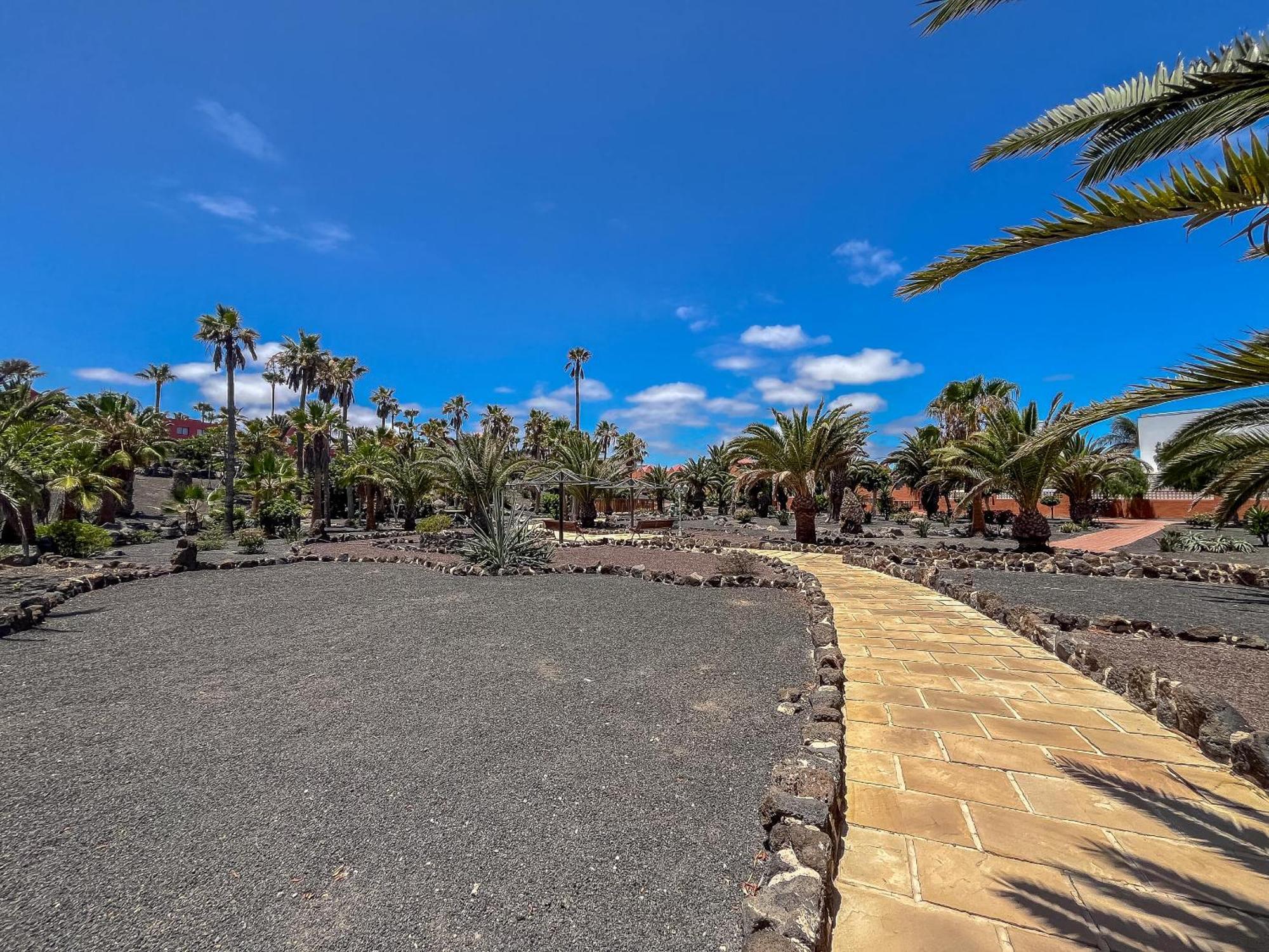Apartamentos Oasis Royal Corralejo F314 Luaran gambar